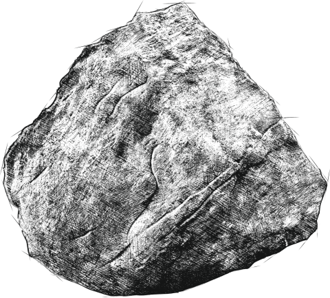 Nero-logo